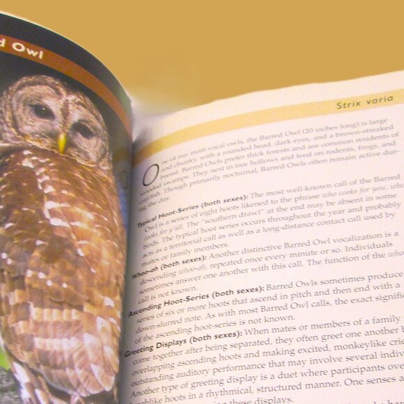 NWOT Know Your Bird Sounds Book Volume 2  Lang Elliott Audio CD Vol 2 - Picture 9 of 14